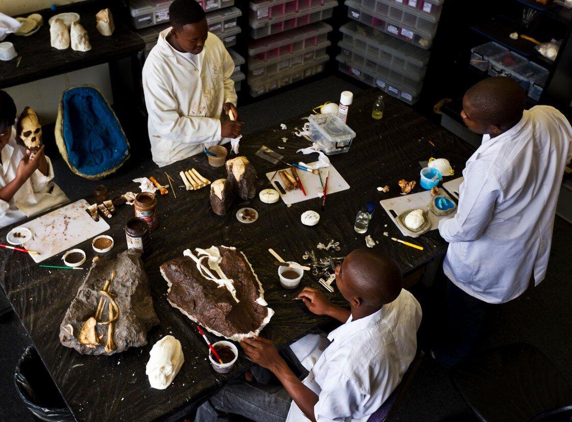 Cradle of Humankind