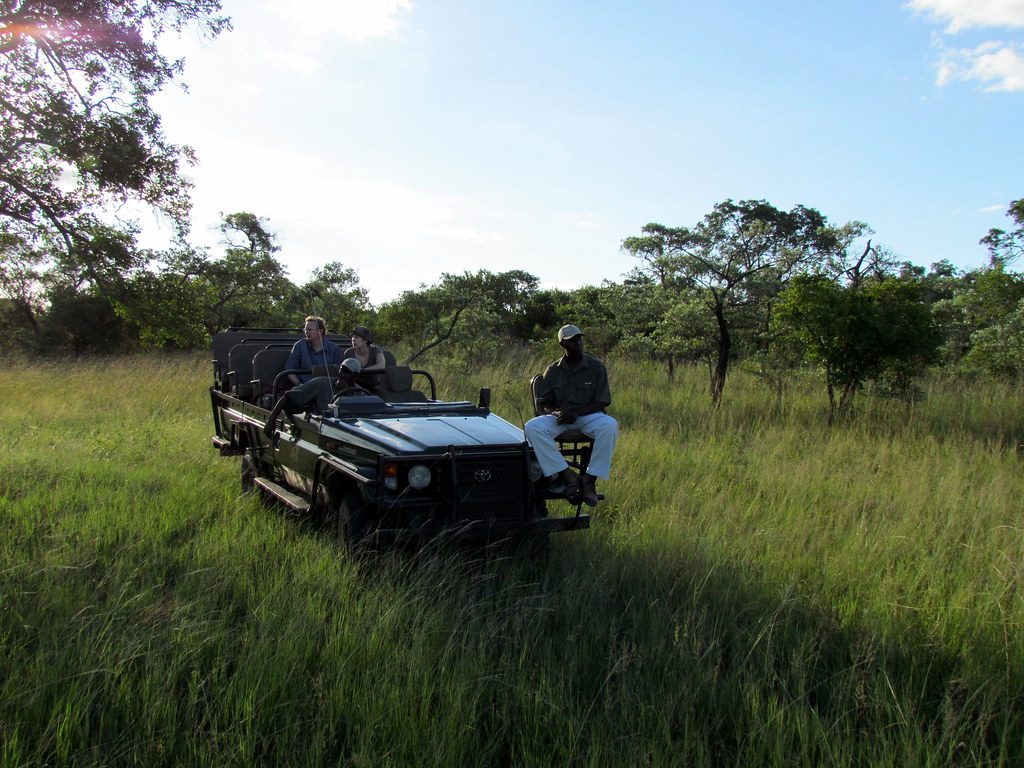 Kruger Safari