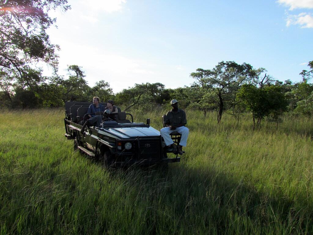Kruger Safari