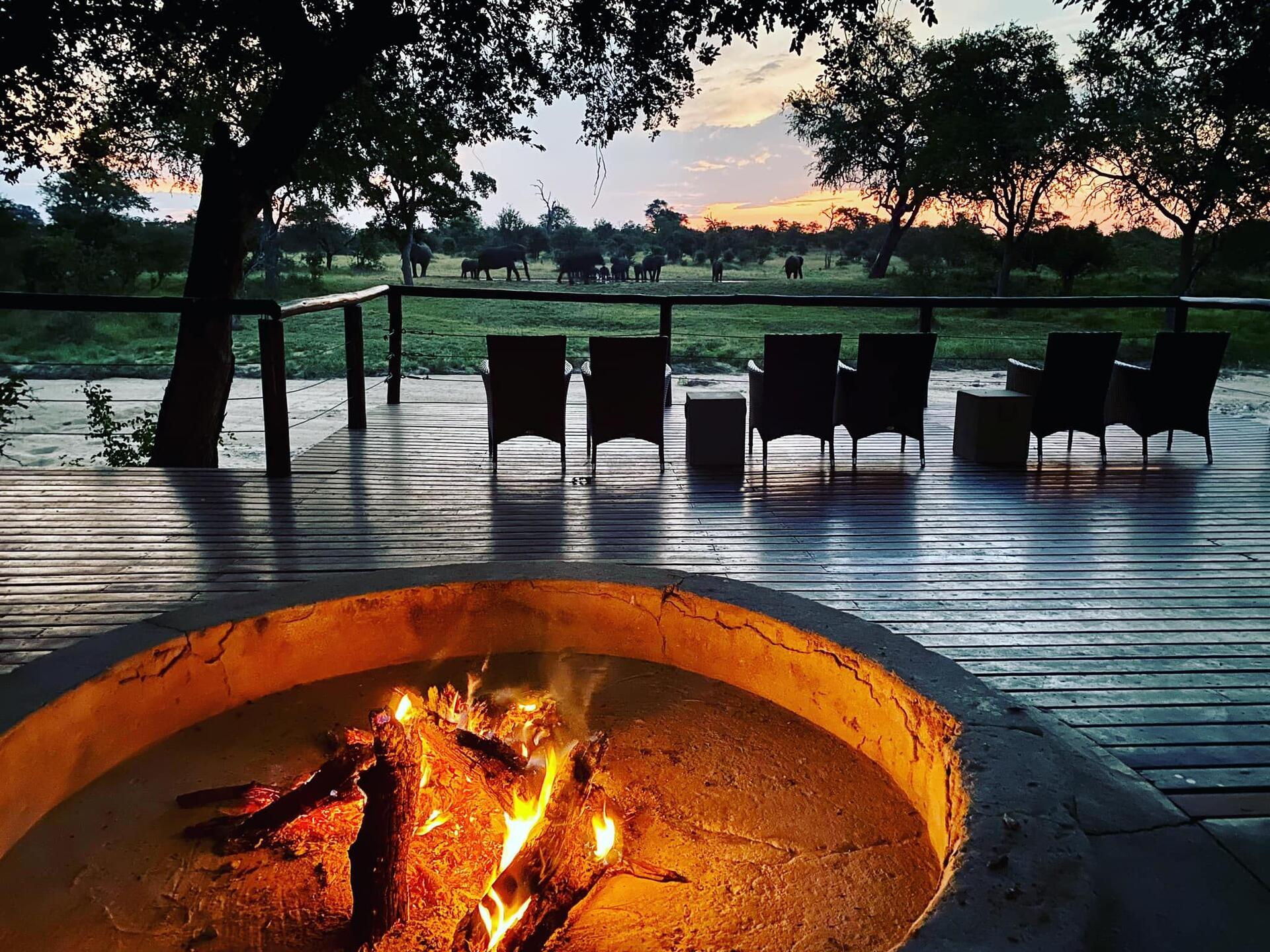 Senalala Safari Lodge luxury safari lodge in the Klaserie