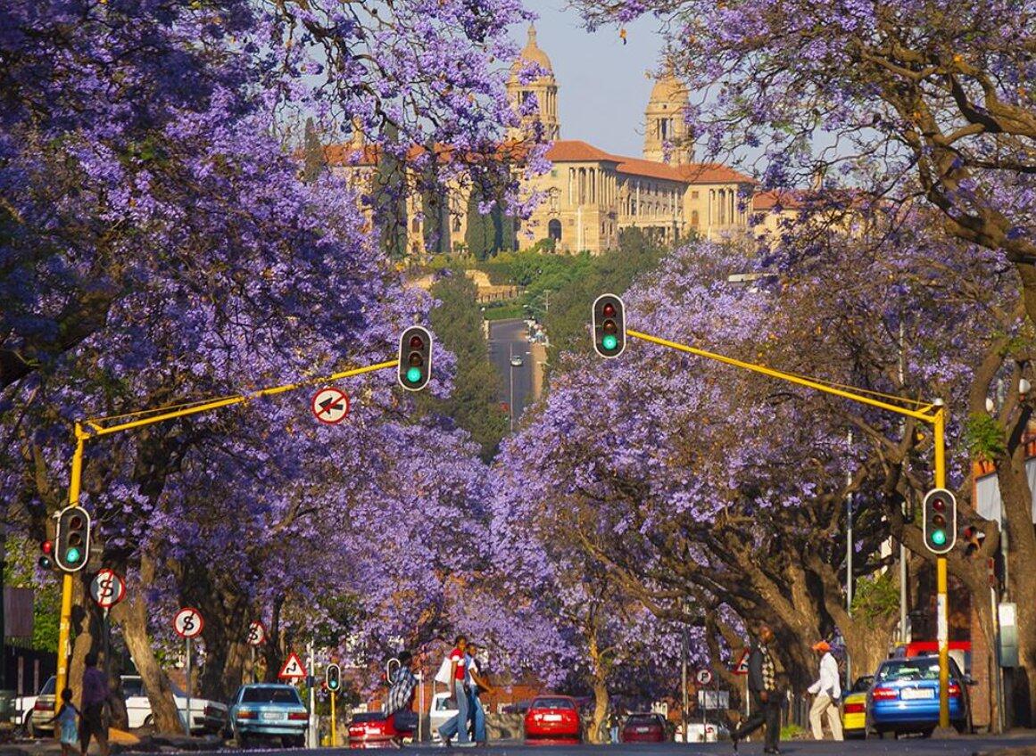 Pretoria Tour