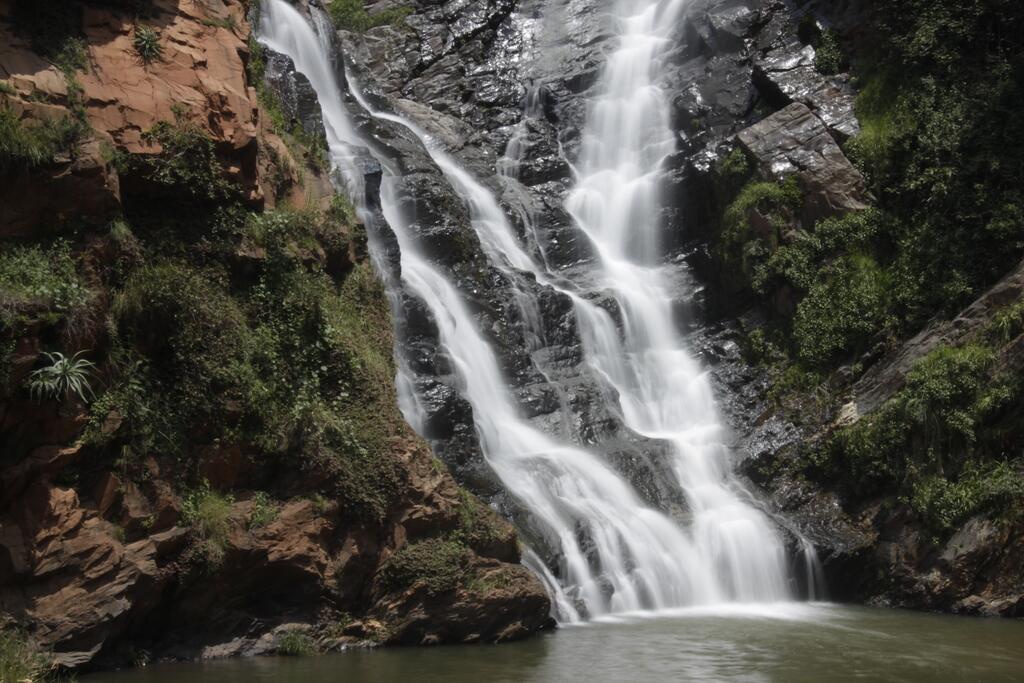 Walter Sisulu National Botanical Gardens